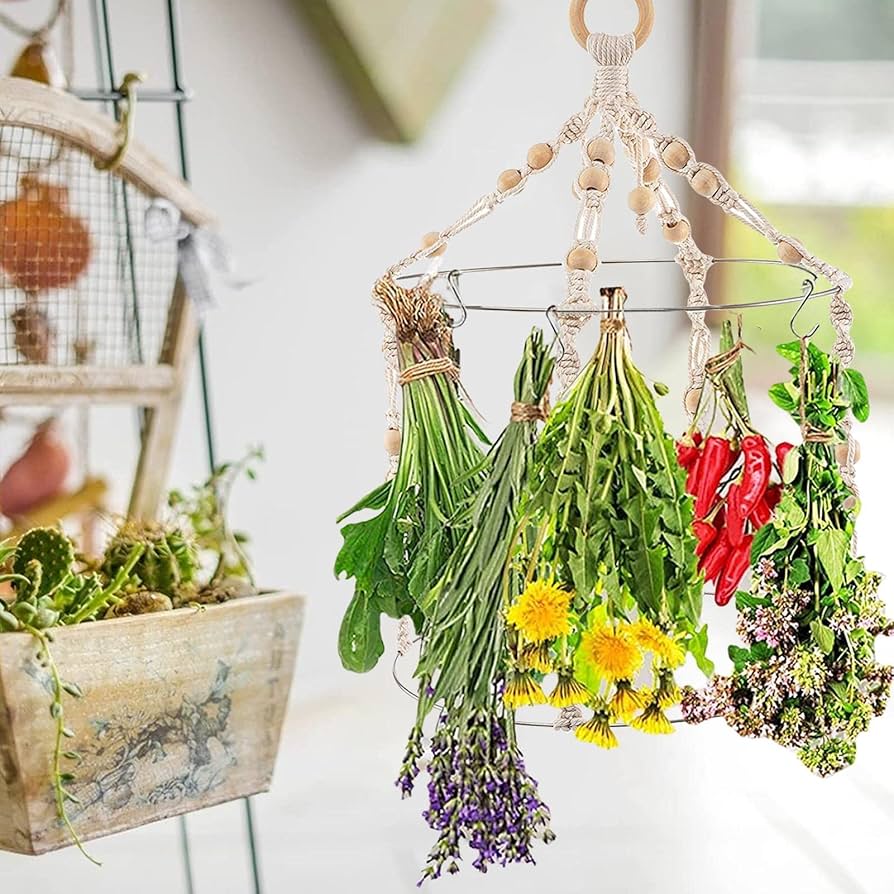 ハーブ乾燥棚 Amazon｜ハーブ乾燥ネット 乾燥ハーブ芽水耕植物のための